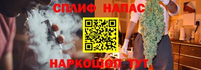 гидропоника Гусев